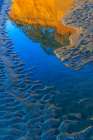 USA, Washington State, Copalis Beach. Sunset reflection in beach sand and water. Coastal Print